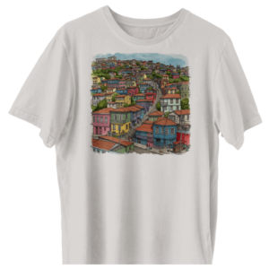 Cerros de Valpo 02